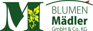 Blumen Mädler GmbH & Co. KG
